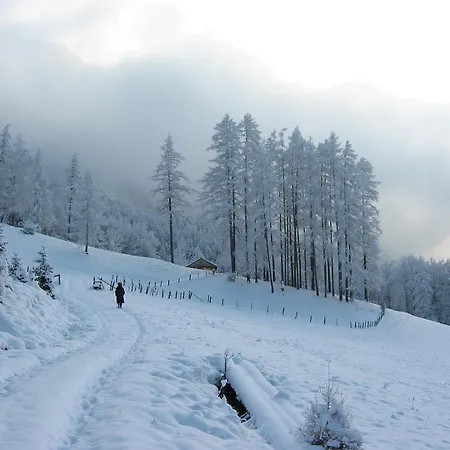 Apartament Attersee-chalet Angermann Familie Spalt *