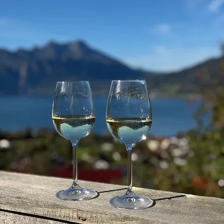 Lejlighed Attersee-chalet Angermann Familie Spalt