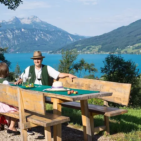 Attersee-chalet Angermann Familie Spalt Апартаменты Штайнбах-ам-Аттерзее